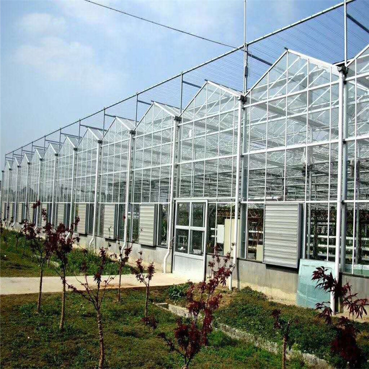 连栋智能温室 山东智能温室建造商 鸿川温室承建温室工程