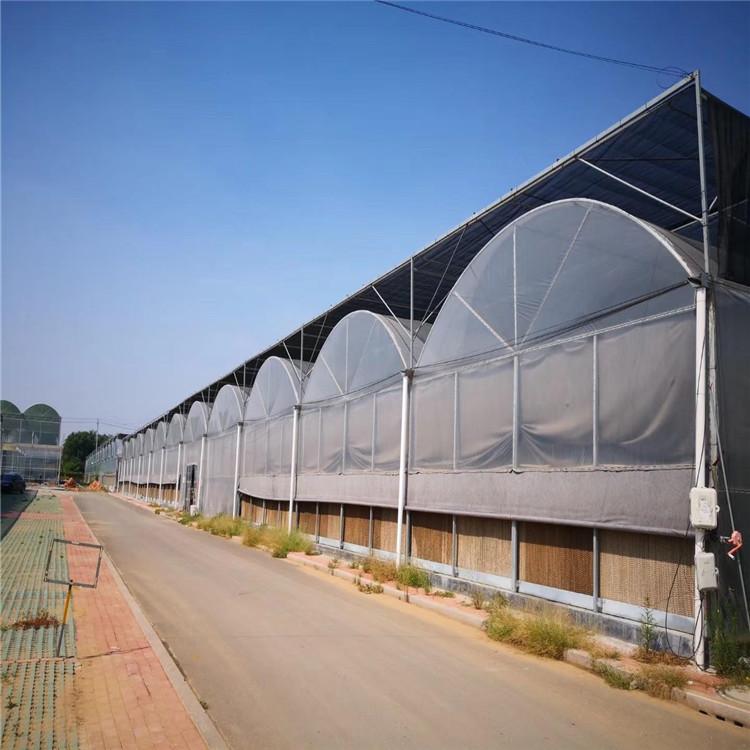 山东连栋薄膜温室工程 温室承接 薄膜温室 - 青州市鸿川温室工程有限